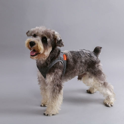 Air Pro Comfort Harness