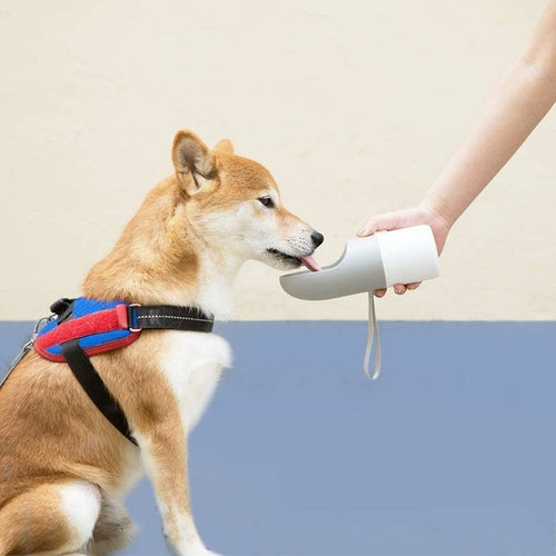 Portable Travel Dog Water Dispenser With Storage