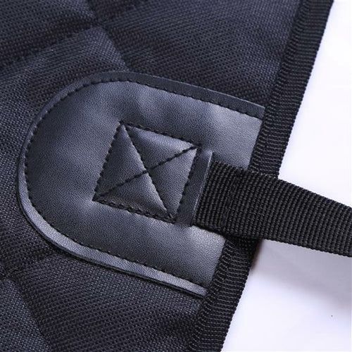Waterproof Travel Back Seat Car Cover
